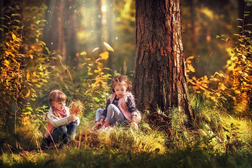 Лесная сказка!