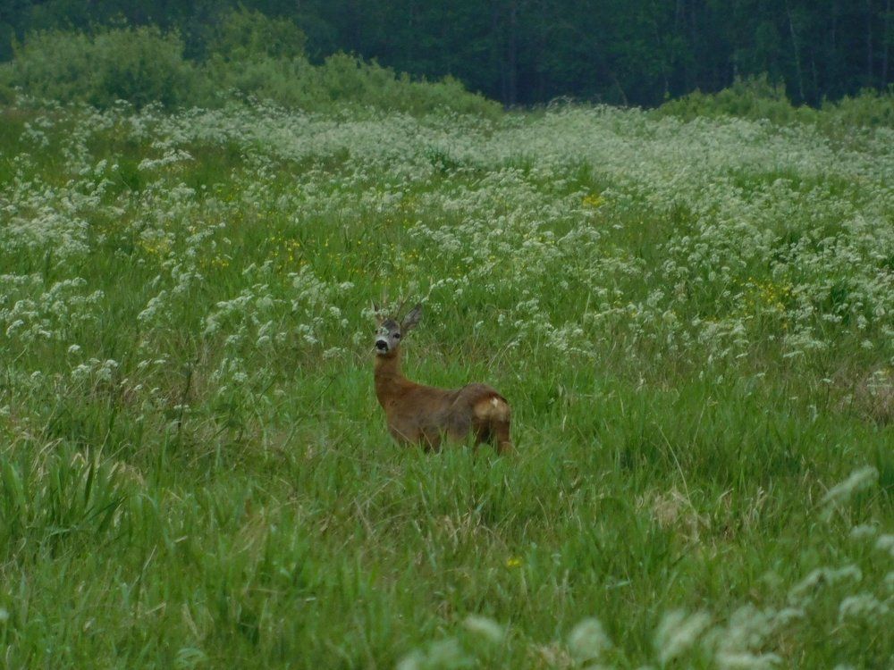 Photograph by Евтух Никита
