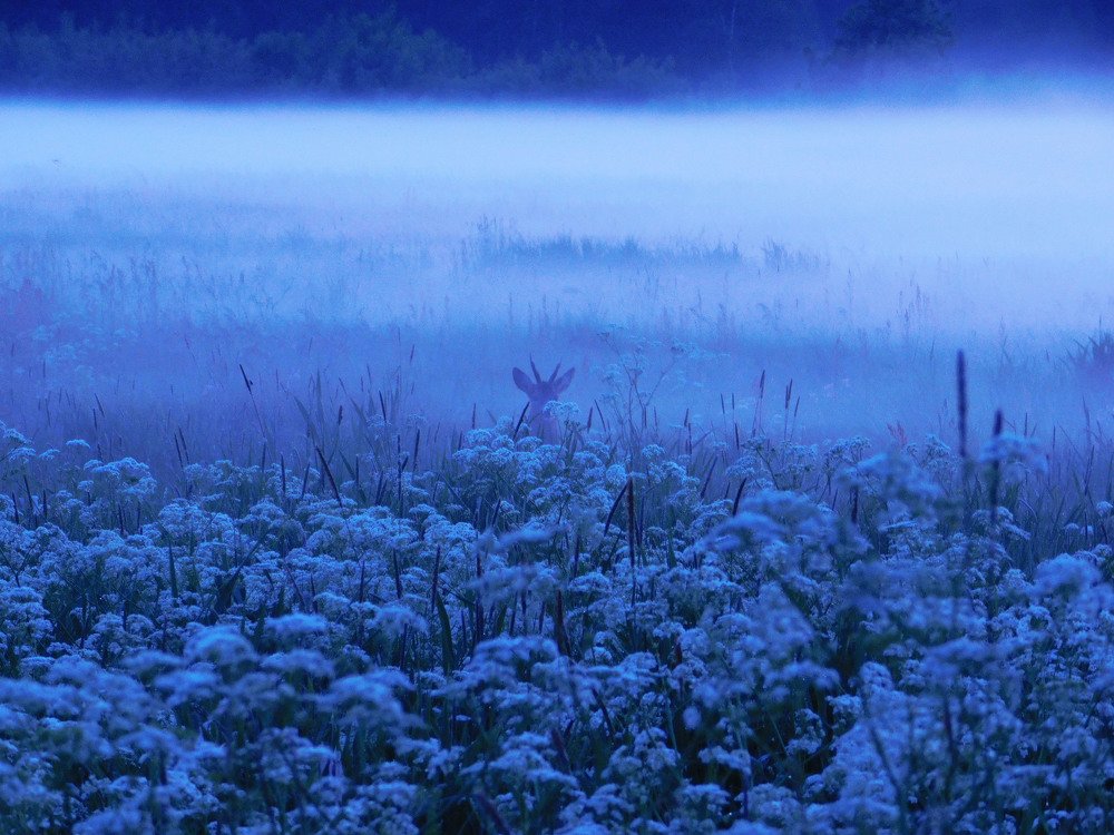 Photograph by Евтух Никита