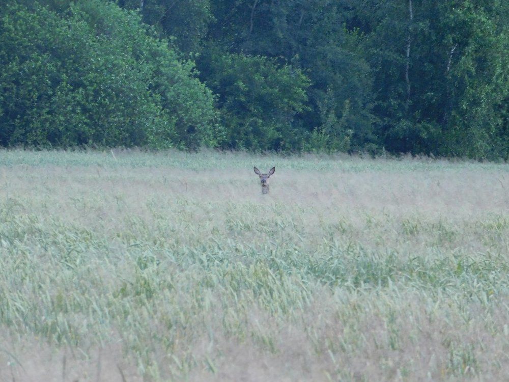 Photograph by Евтух Никита