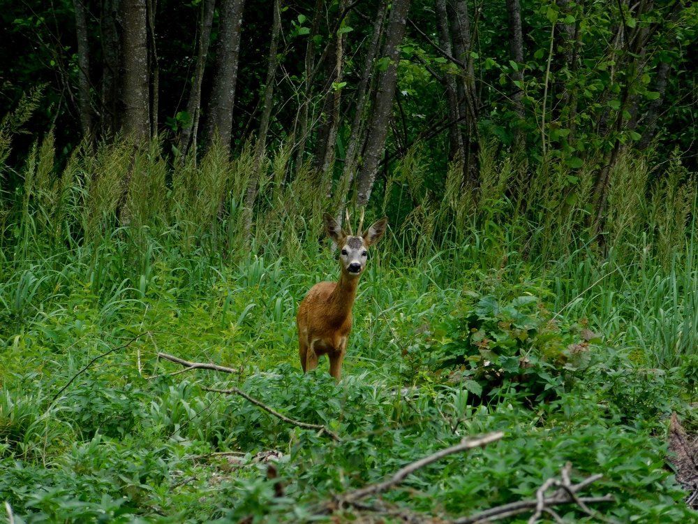 Photograph by Евтух Никита