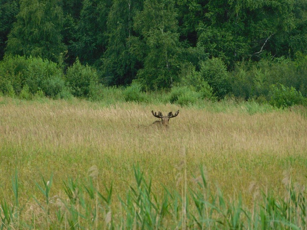 Photograph by Евтух Никита