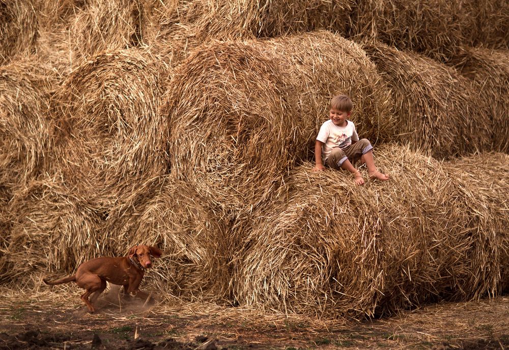 Провожая лето...