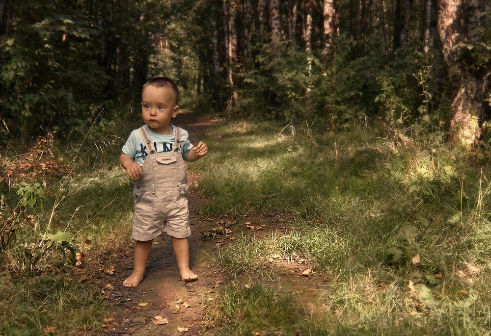 Чудо в лесу