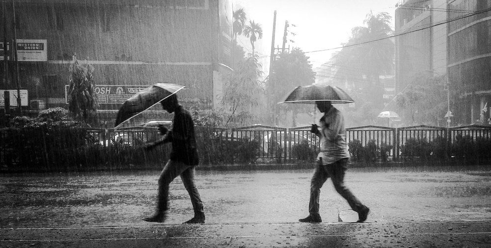 The Monsoon Harmony