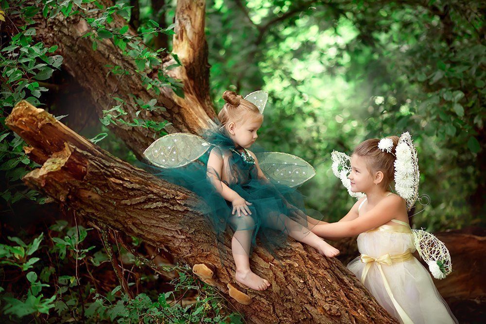 Волшебный лес