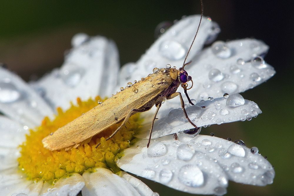 После дождя