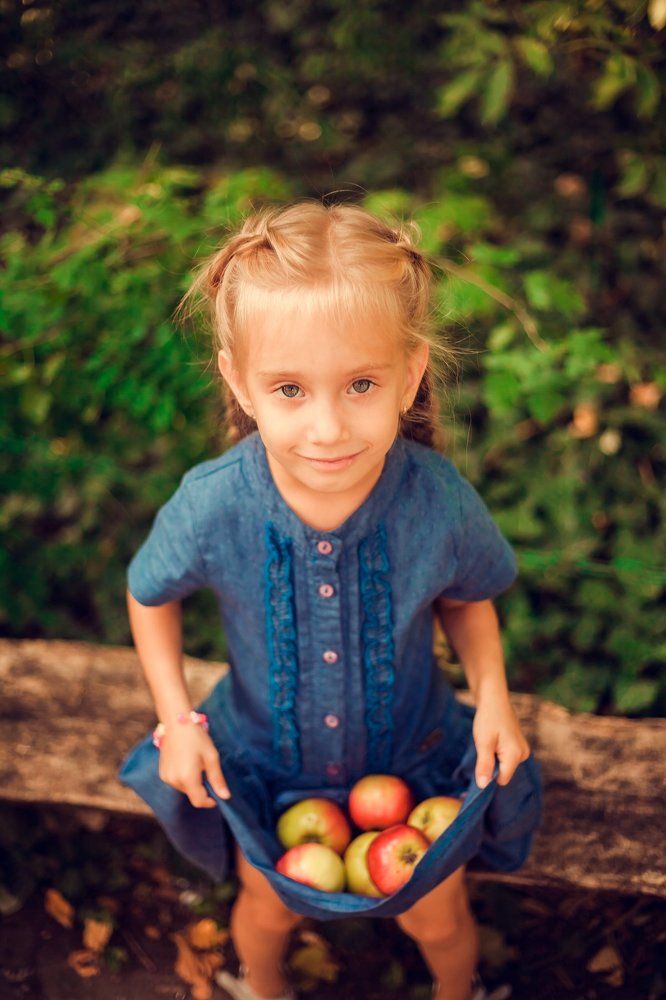 голубоглазка