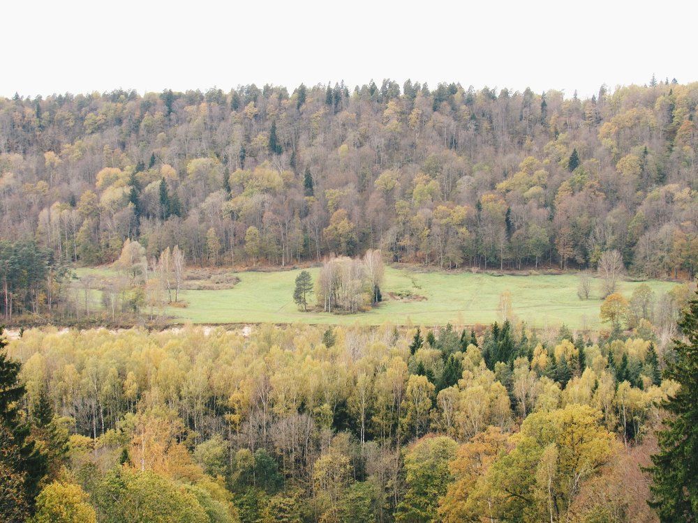 Осень пришла.