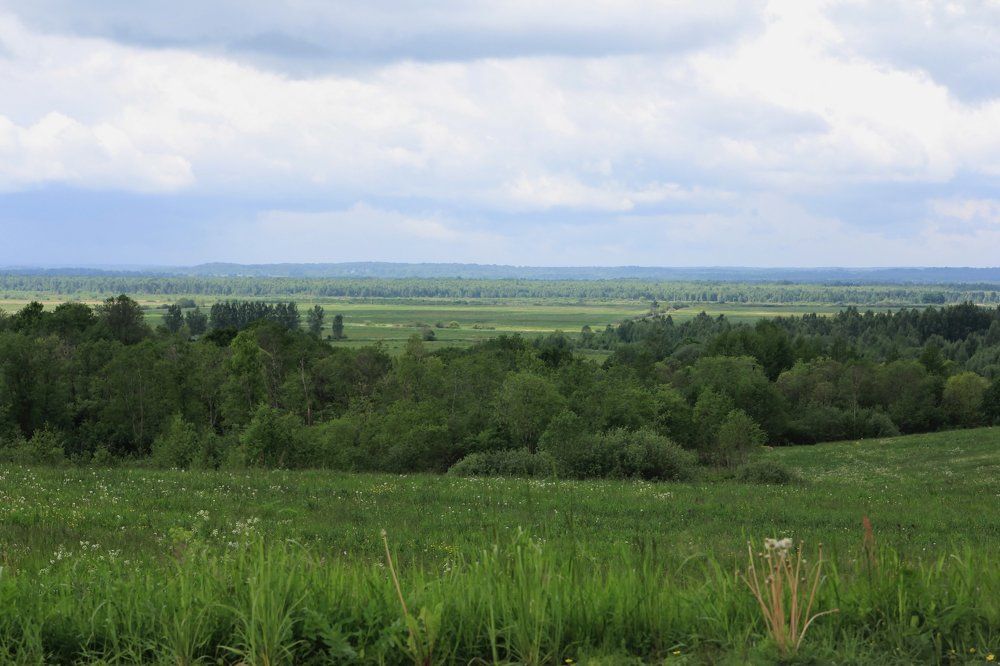 Русские просторы