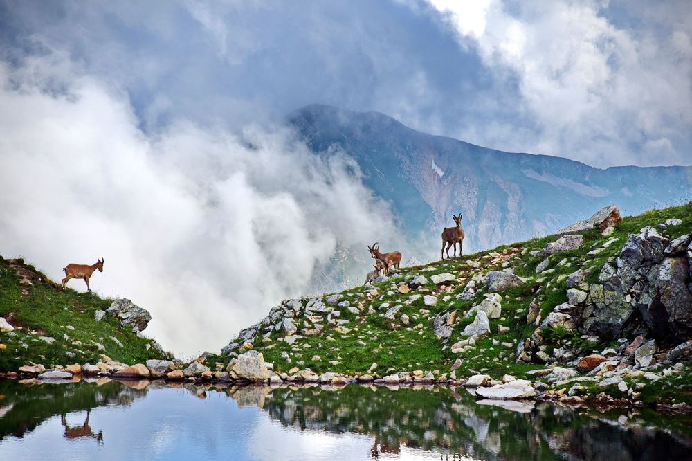 Вечер на озере.