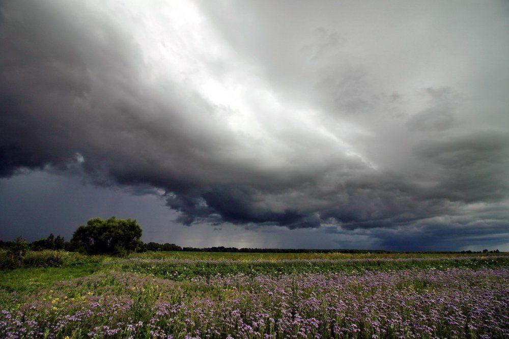 Грозовой ворот