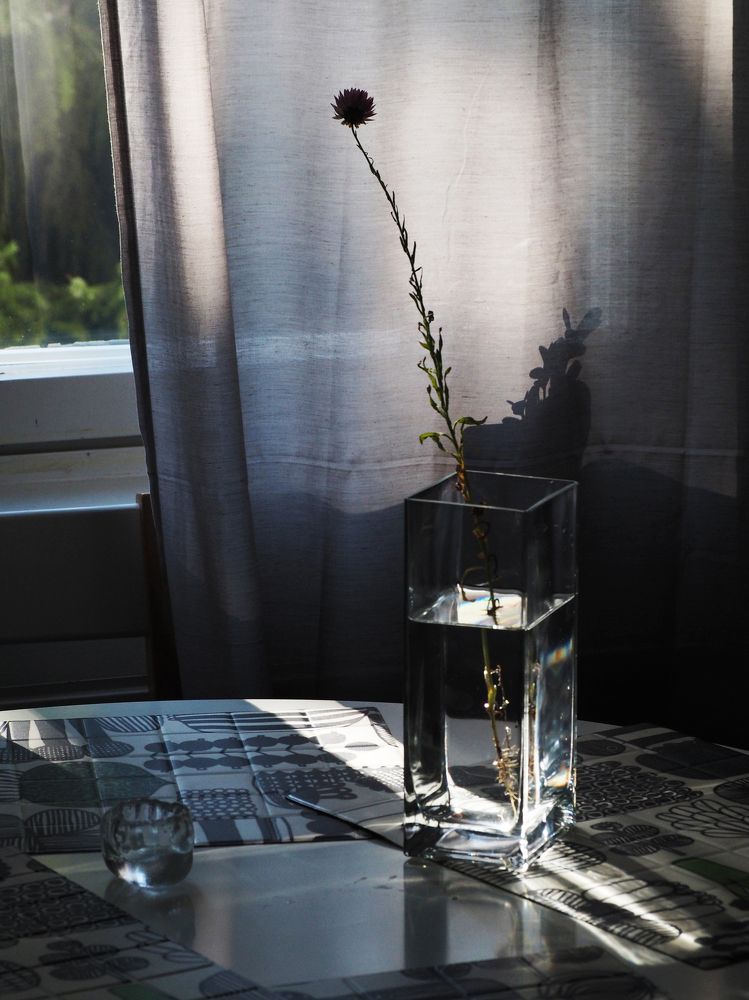 Скандинавский натюрморт.