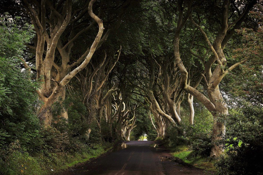 Темная Аллея. "Игра престолов".