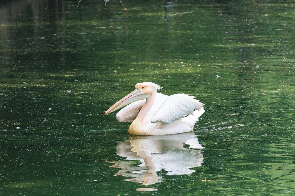 Posing like a super model.