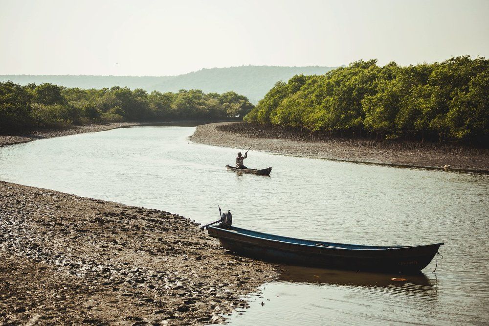 Photograph by Виталий Гуляев