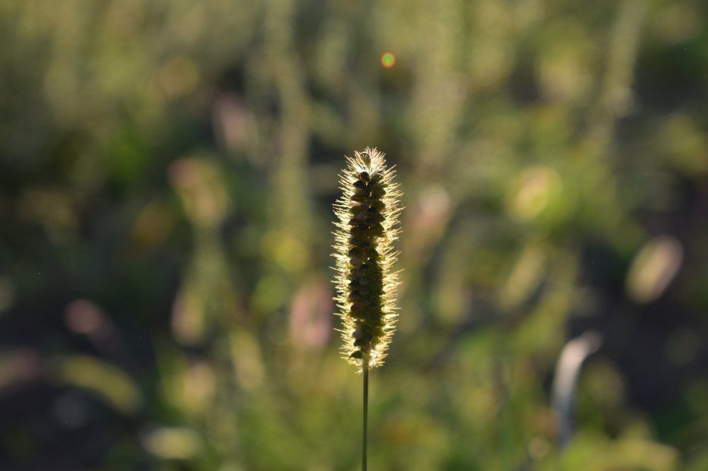 Photograph by Котова Лиза