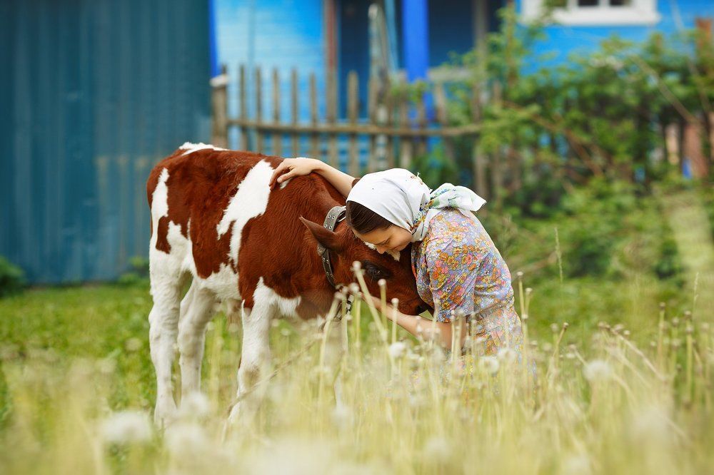 Момент нежности