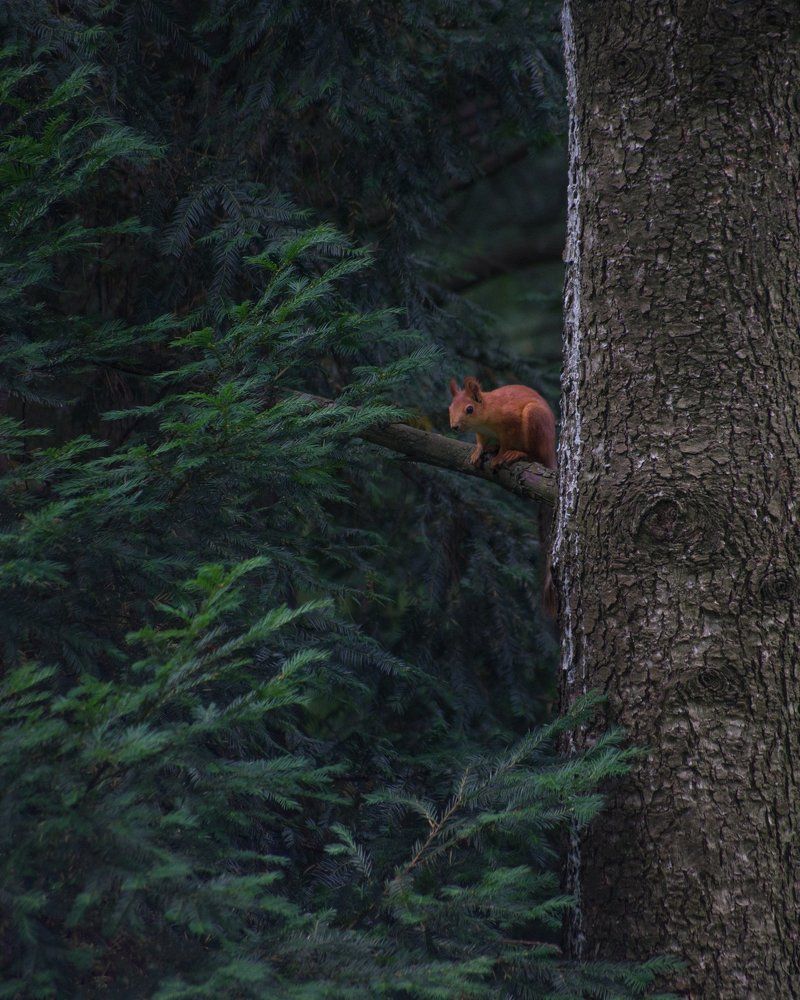Фотография автора Катарина Винниченко