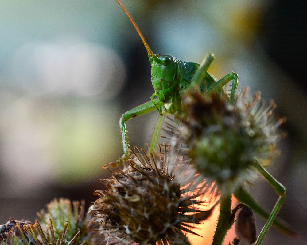 Photograph by Мария