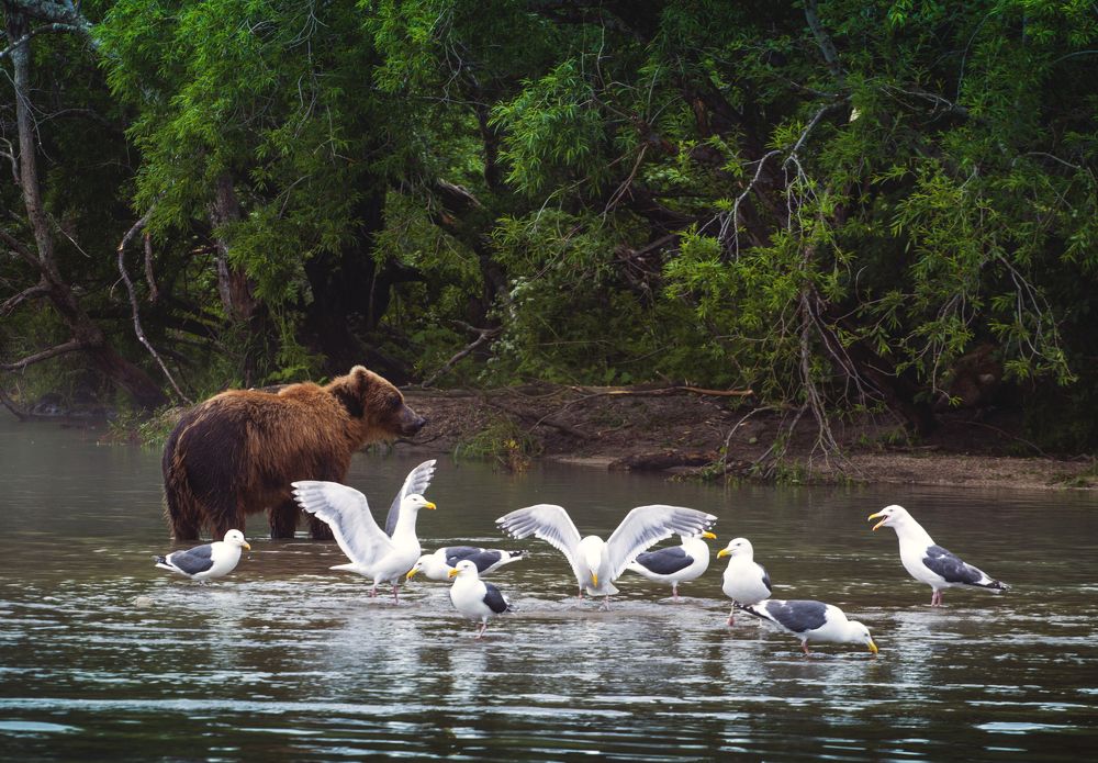 больше чем кажутся