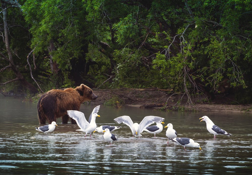 больше чем кажутся