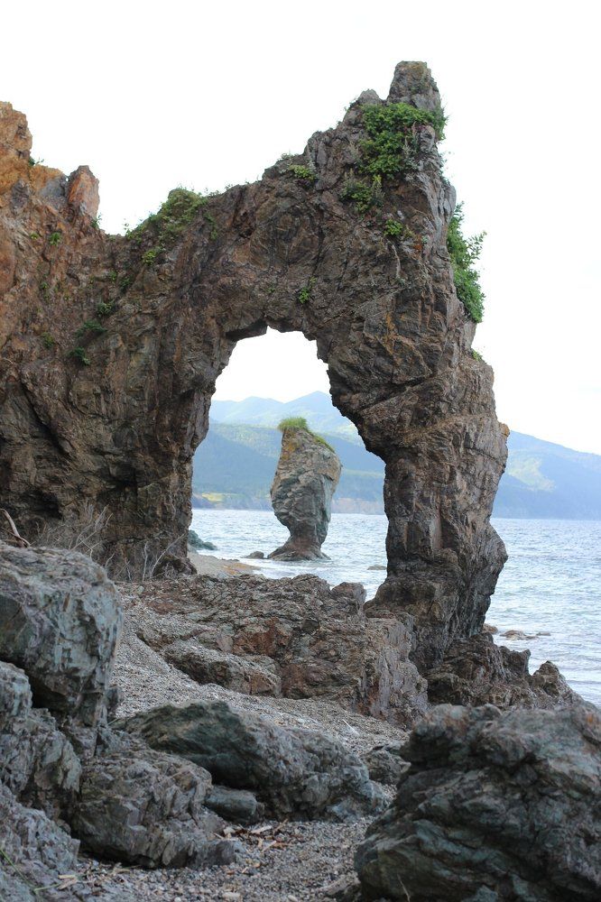 Звёздные врата