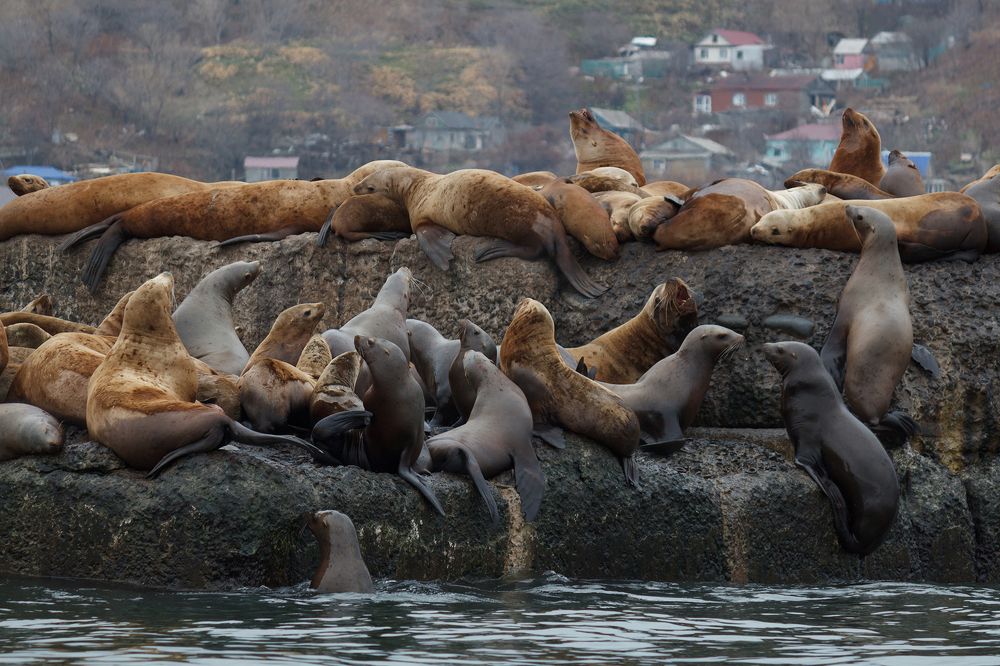 отдых на городском пляже