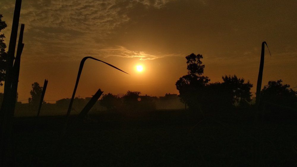 Sun Set View.