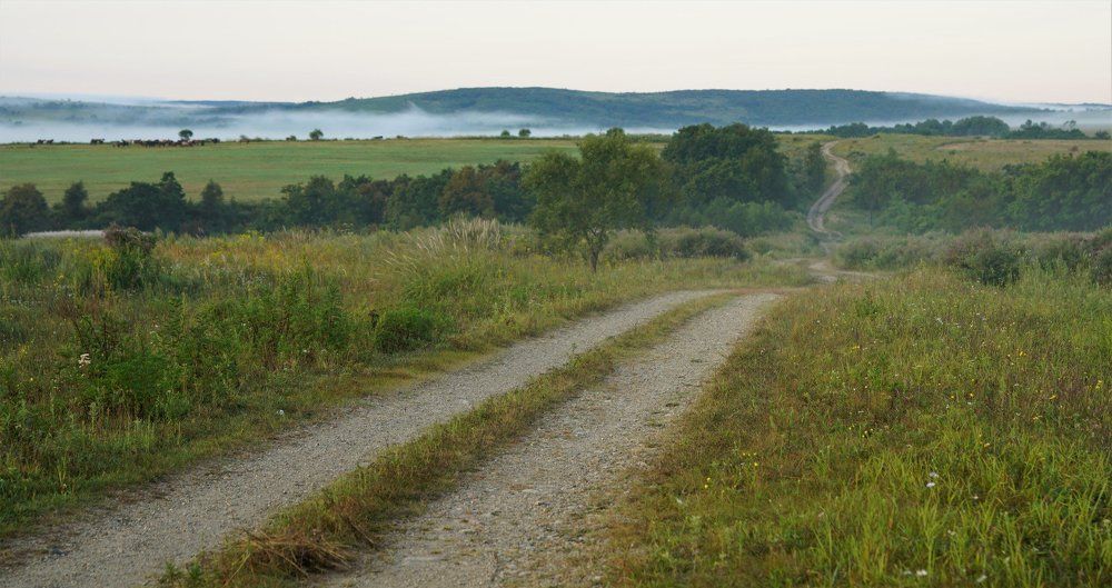 Дорога в село.