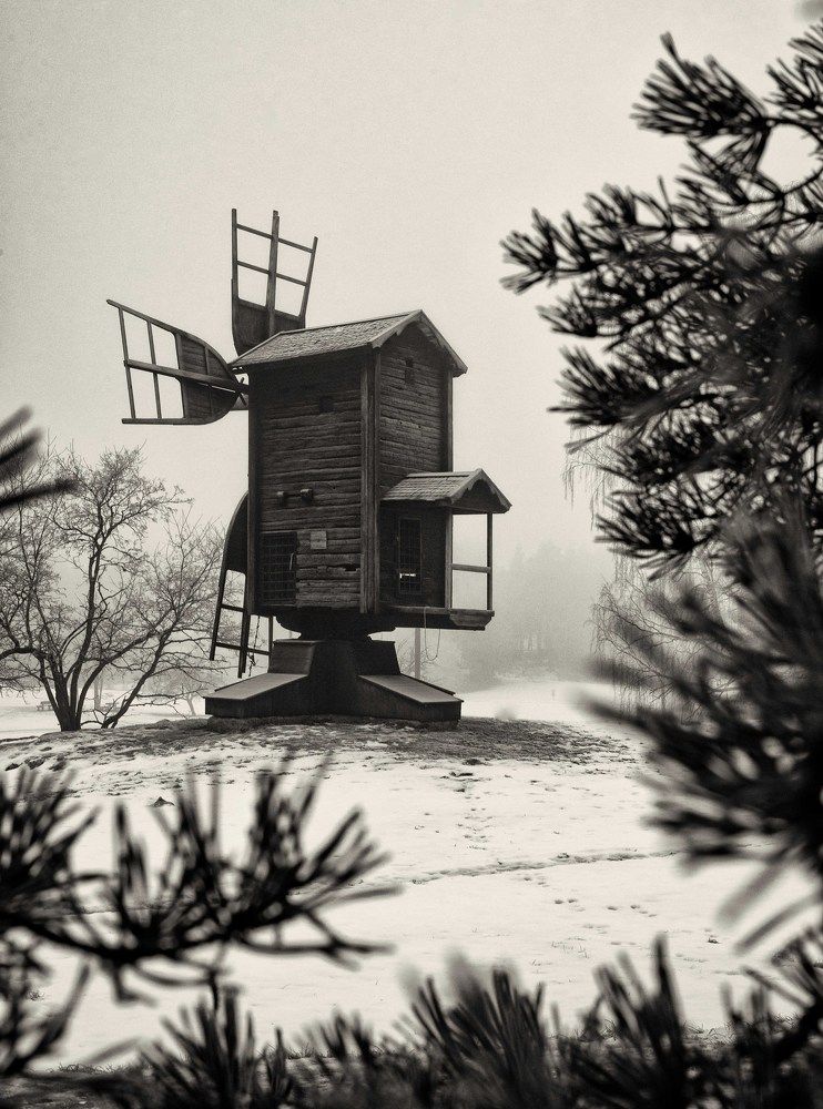 Photograph by Natalia Kholodova