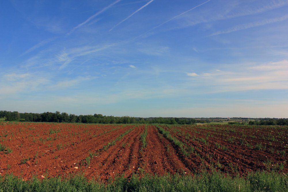 Fields