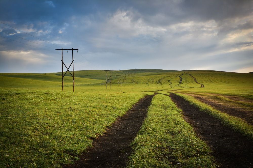 После дождя