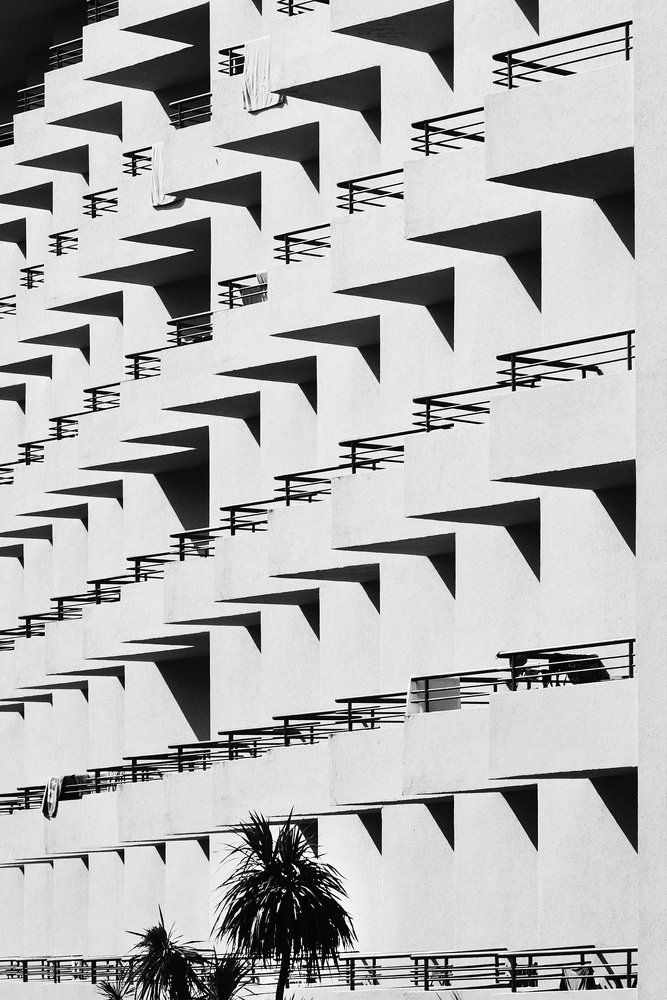 Дом с пальмой