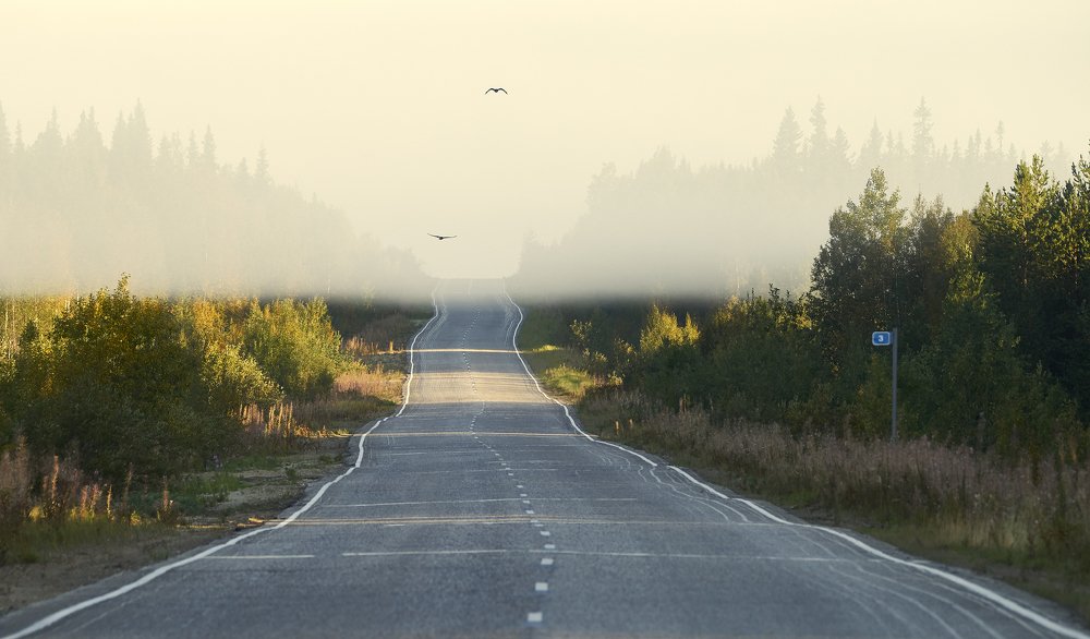 Третий лишний