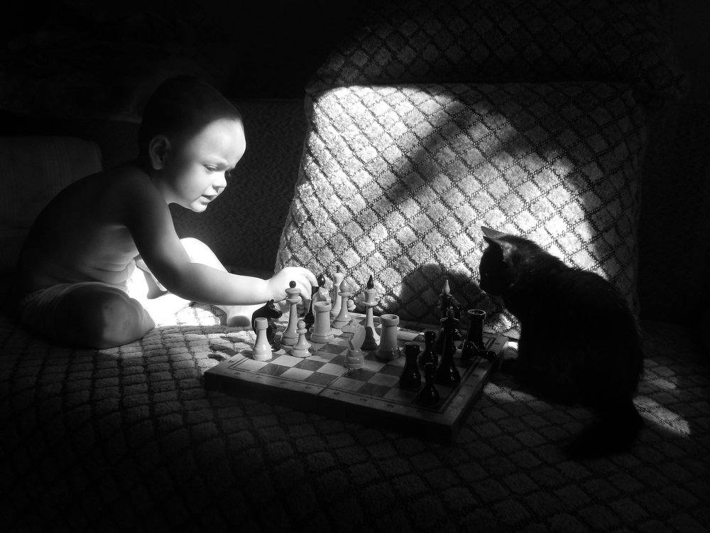 Шаг и мат ...