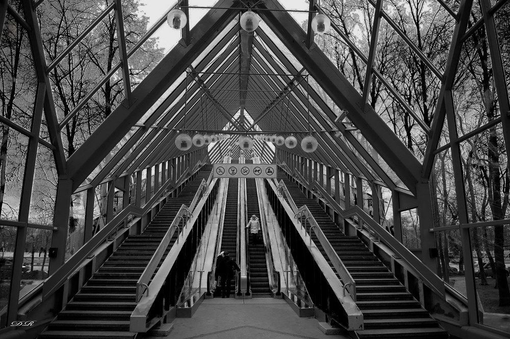 Пушкинский мост