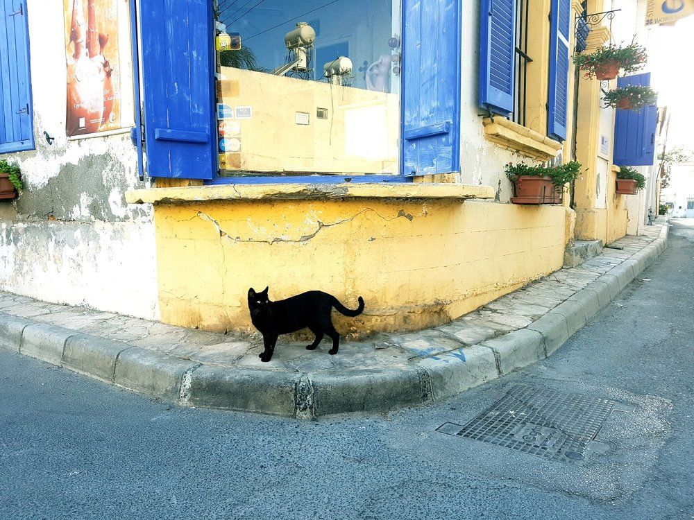 Photograph by Любовь