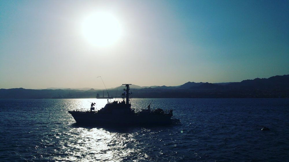 Играют волны - ветер свищет..