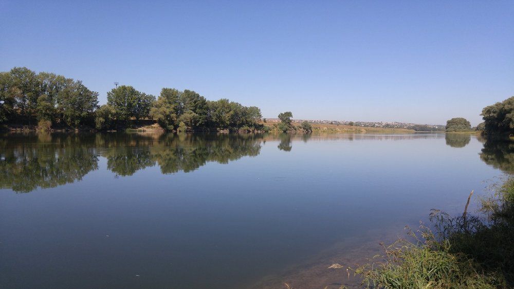 Зеркало природы