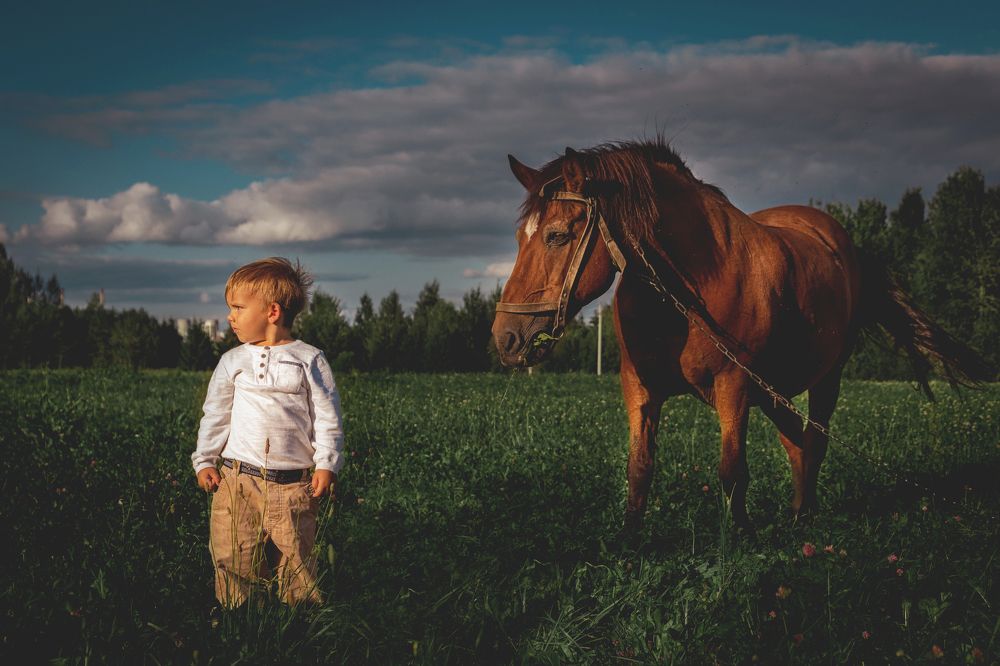 На поле с конем