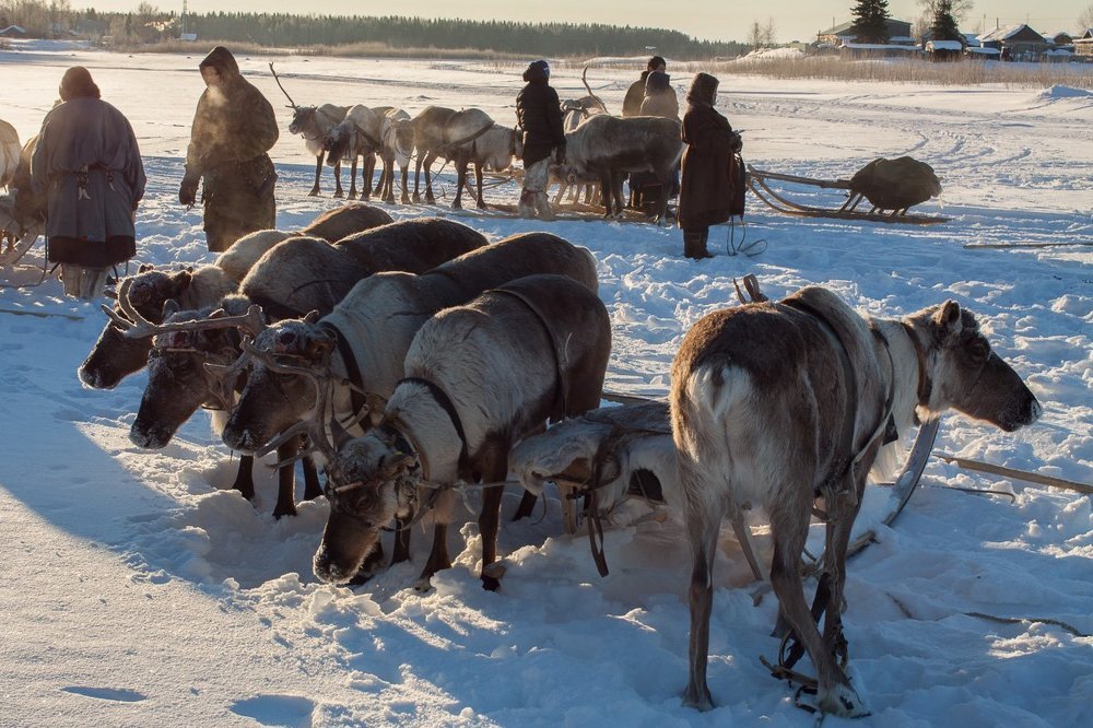 Утро в Казыме