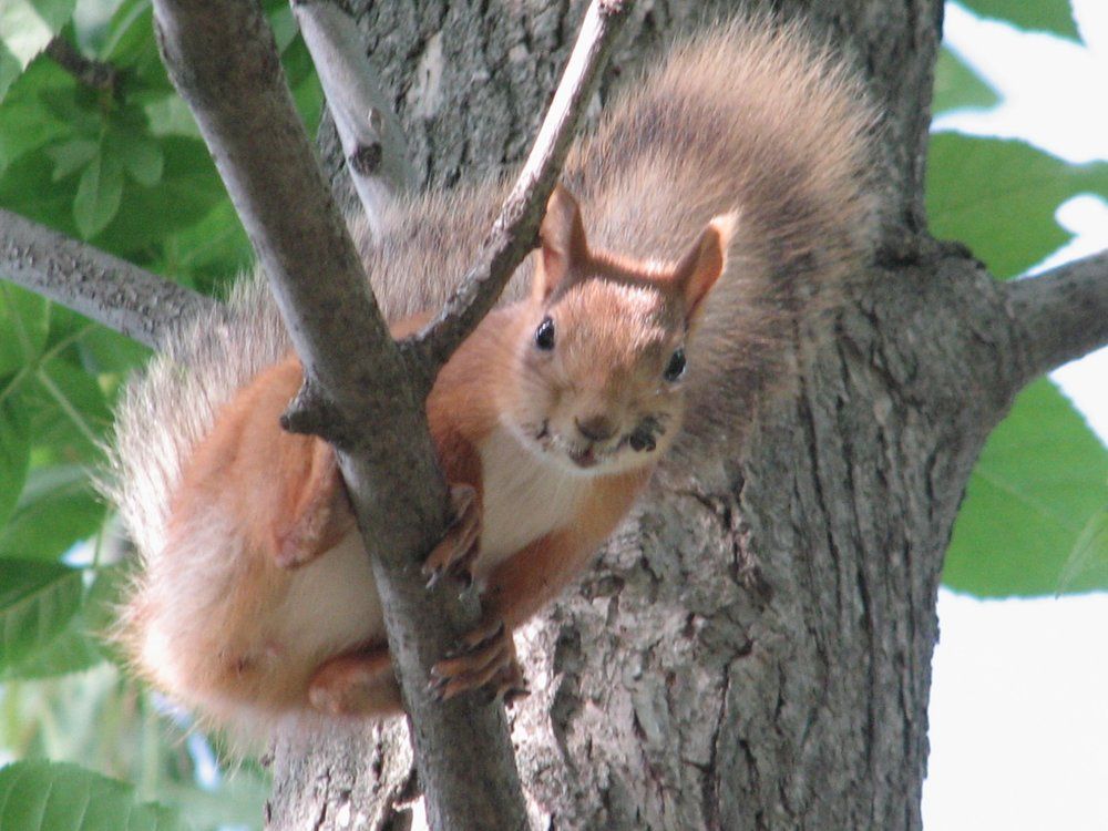 Снимайте! Я готова!!!