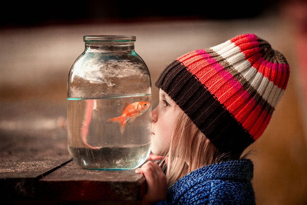 Три желания...