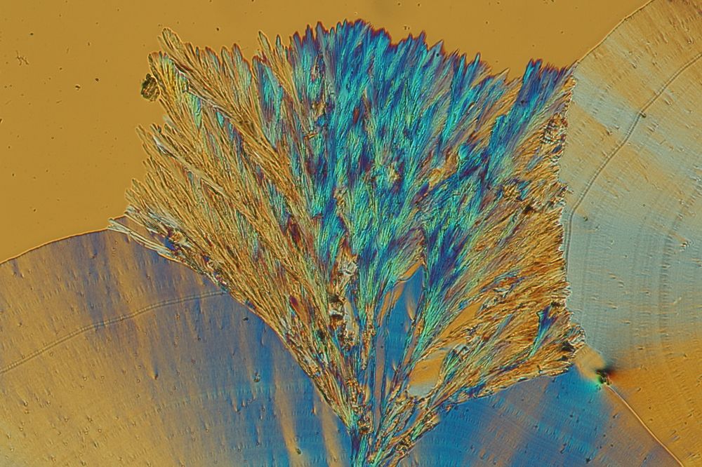 "Букет из кристаллов витамина С"