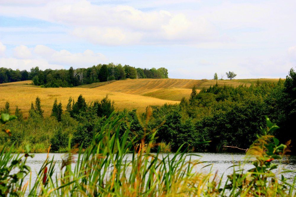 Photograph by Ольга Павлова