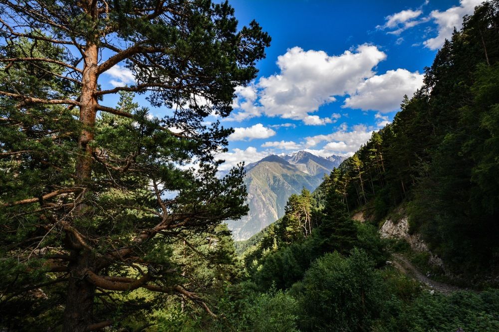 Приэльбрусье