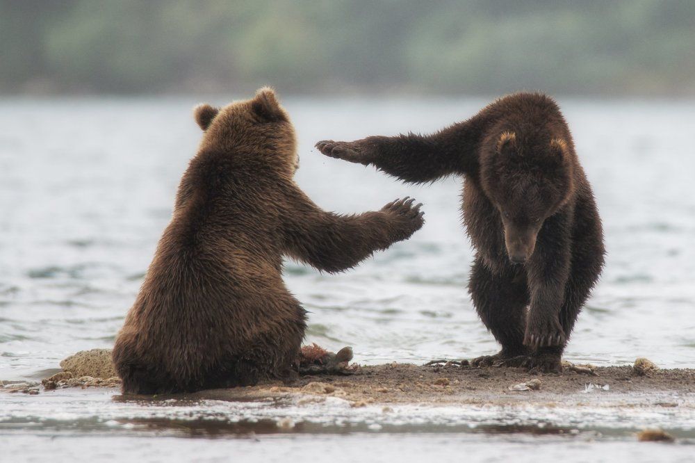 Уроки танцев