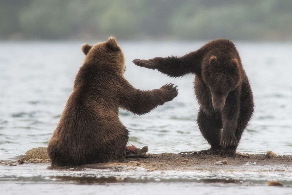 "Повторяй за мной"