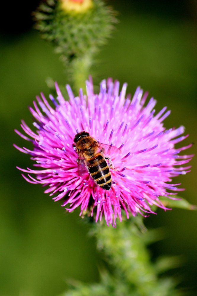 Photograph by Ольга Павлова